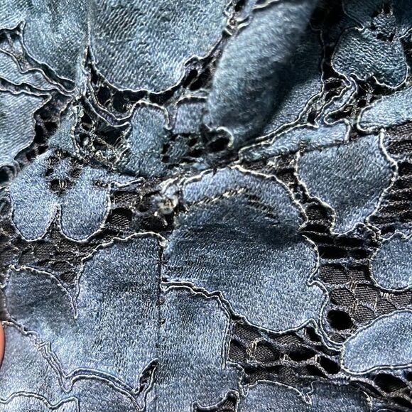 Zara Blue Lace Mini Dress with Mock Neck & Scallop Hem – Size M - Picture 11 of 15